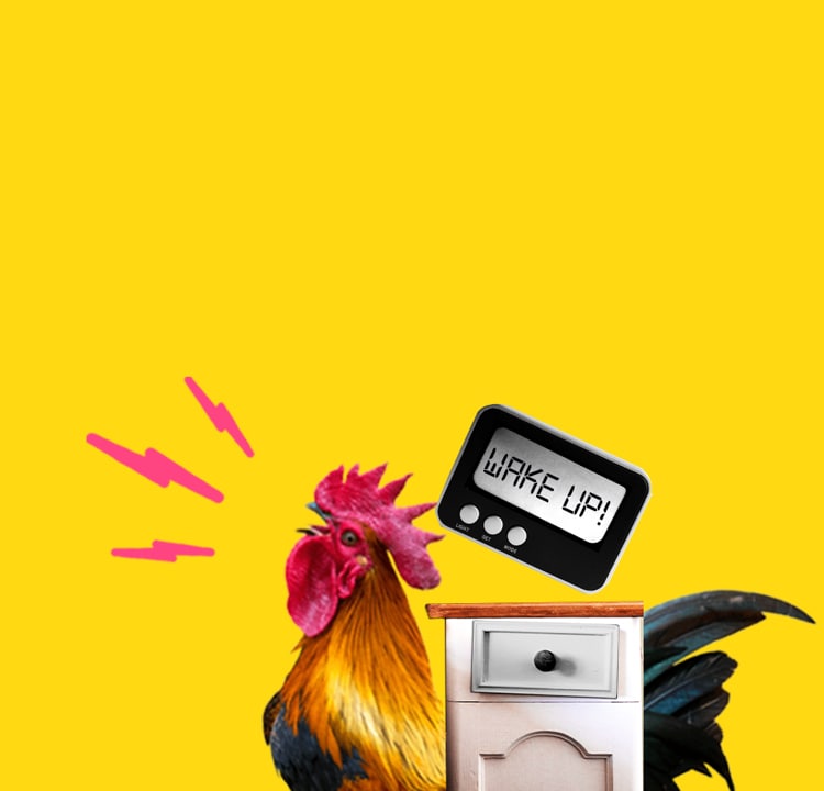 cartoon of rooster on yellow background