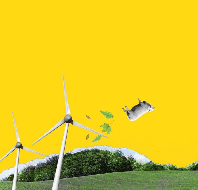 cartoon of sheep and wind mills